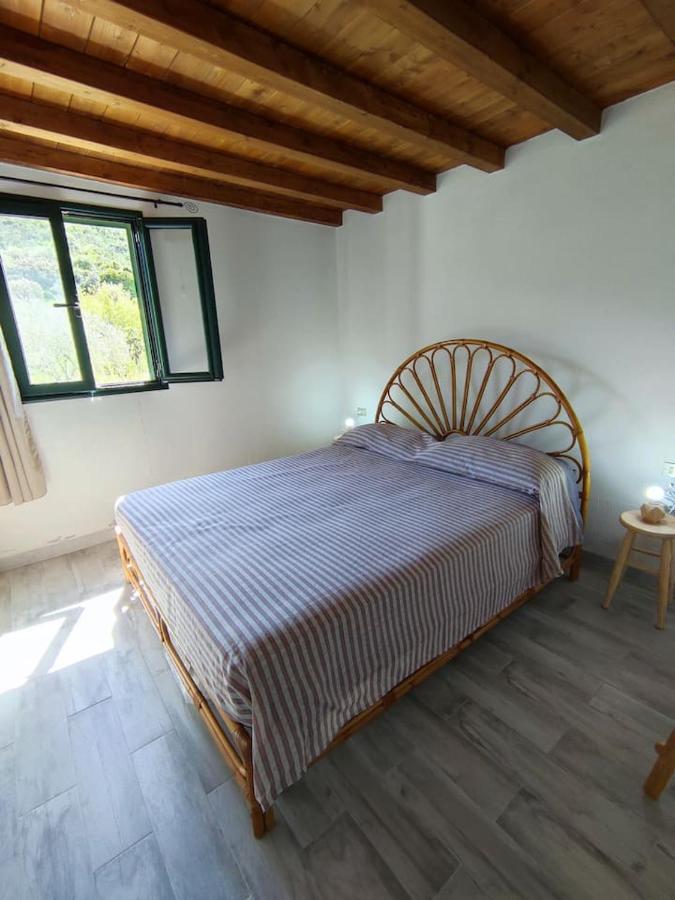 Villa Ulivella Schifoni 外观 照片