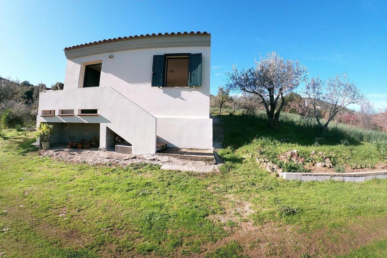 Villa Ulivella Schifoni 外观 照片