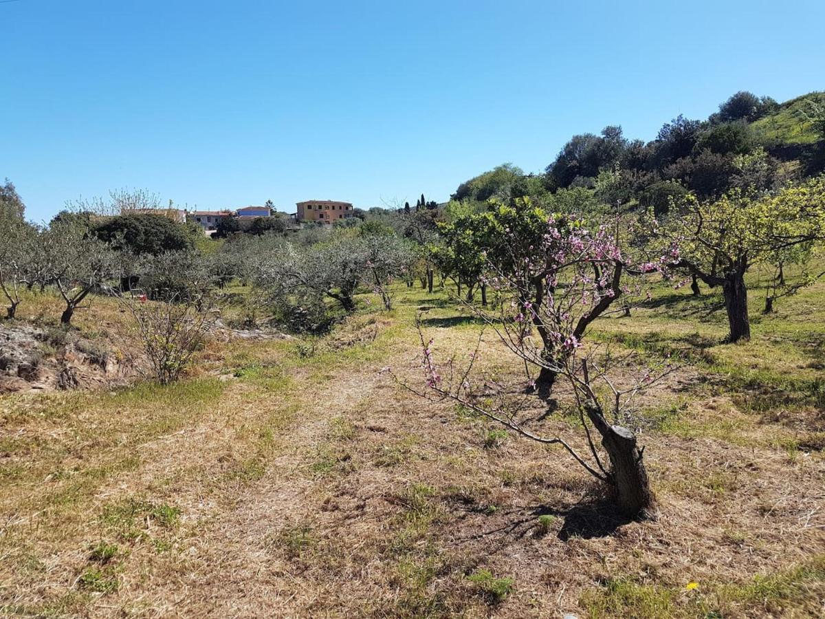 Villa Ulivella Schifoni 外观 照片