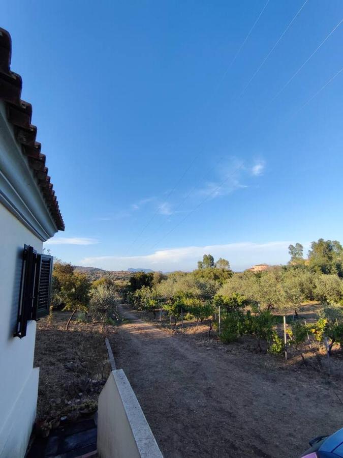 Villa Ulivella Schifoni 外观 照片